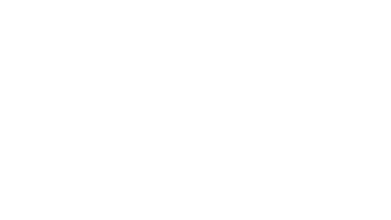Slf sleefs white logo
