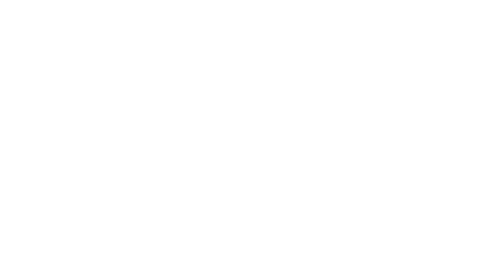 Stix logo white