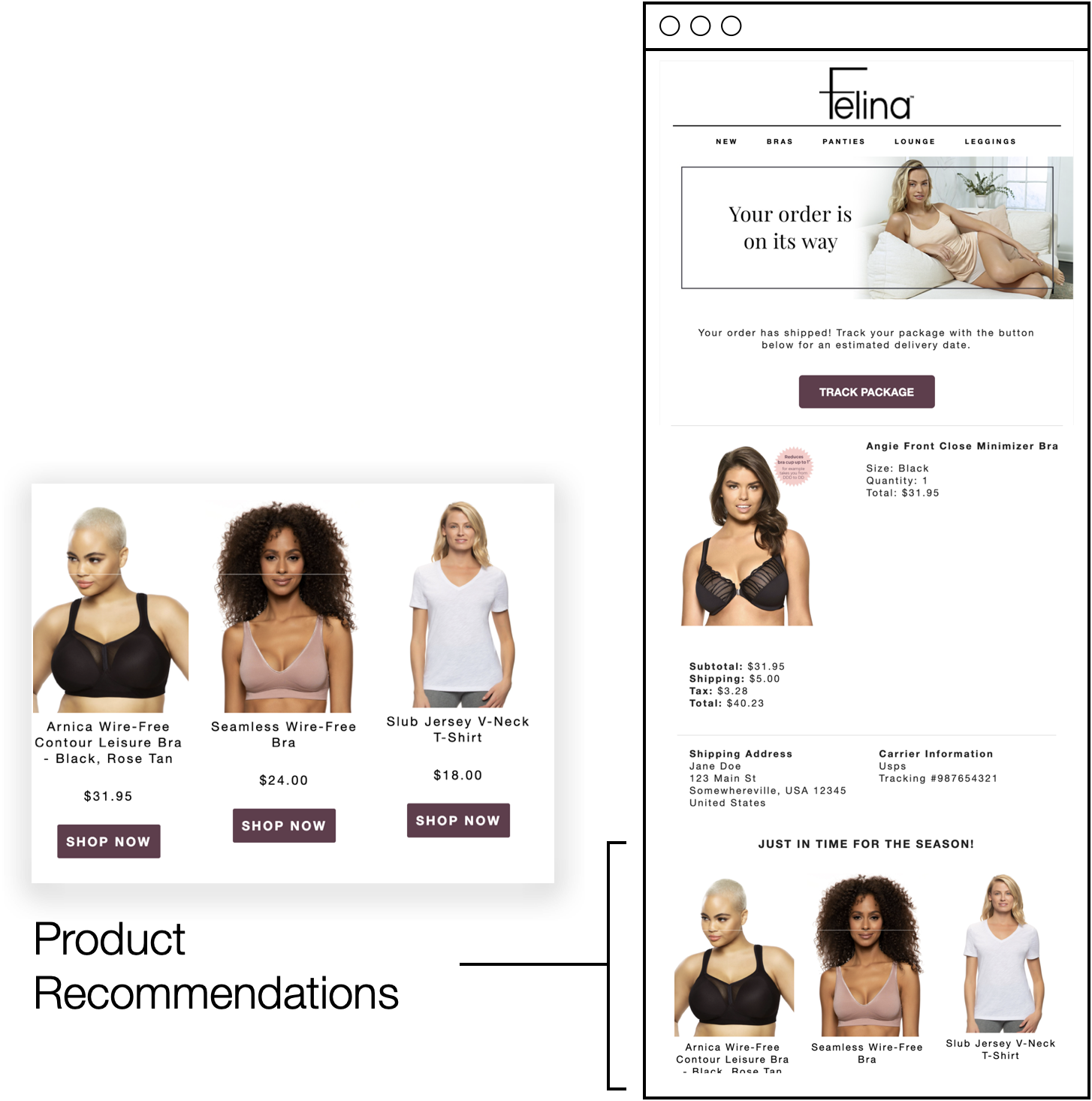Felina Transactional Email Graphic